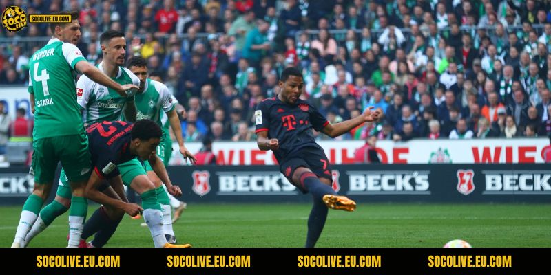 Sẽ là một chiến thắng cho "Hùm Xám"